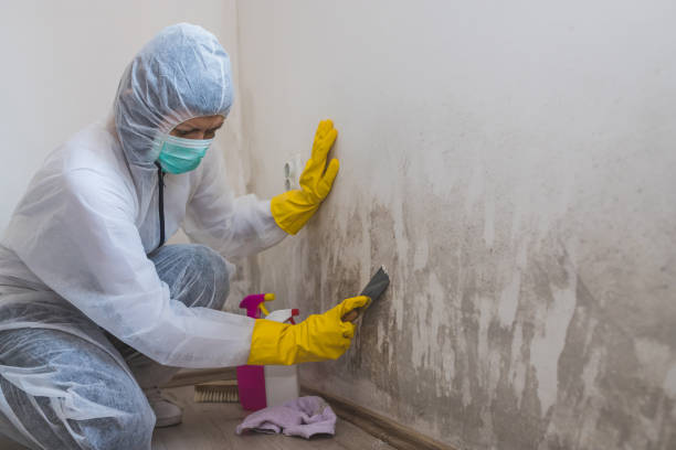 Mold Remediation for Rental Properties in Valley Falls, RI